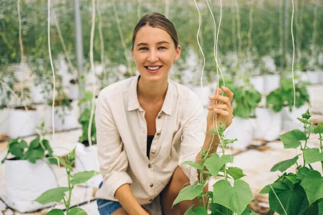 Serre solari in Spagna: Megaprogetto Agricoltura biologica: una soluzione per il pianeta?