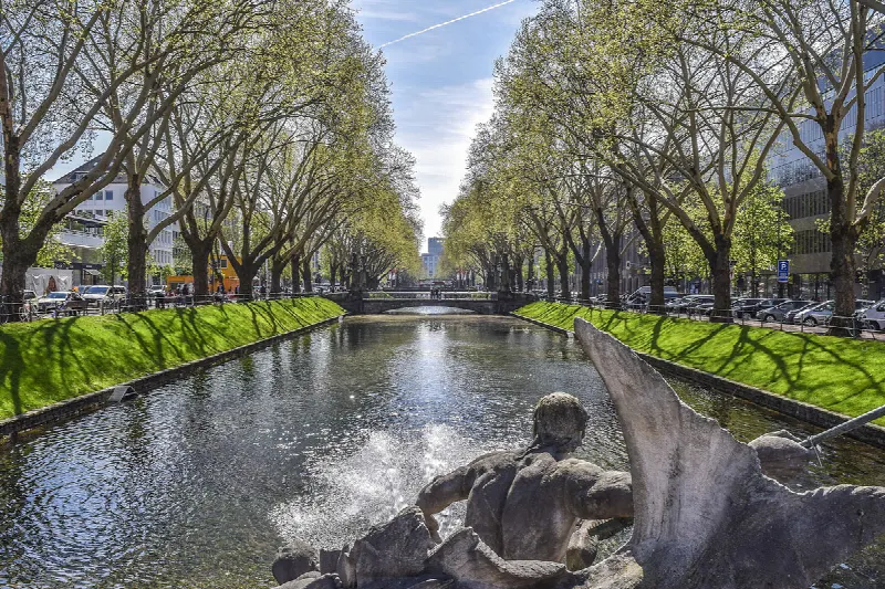 Vivere a Königsallee (Düsseldorf): Comprare e affittare una casa o un appartamento – Visione, prezzo al metro quadro & Co.