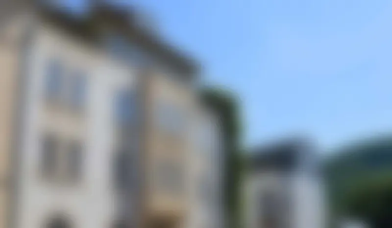 Casa appartamento Wiesbaden 380m² con appartamenti 40-70 m² – divisi! – Fuori mercato
