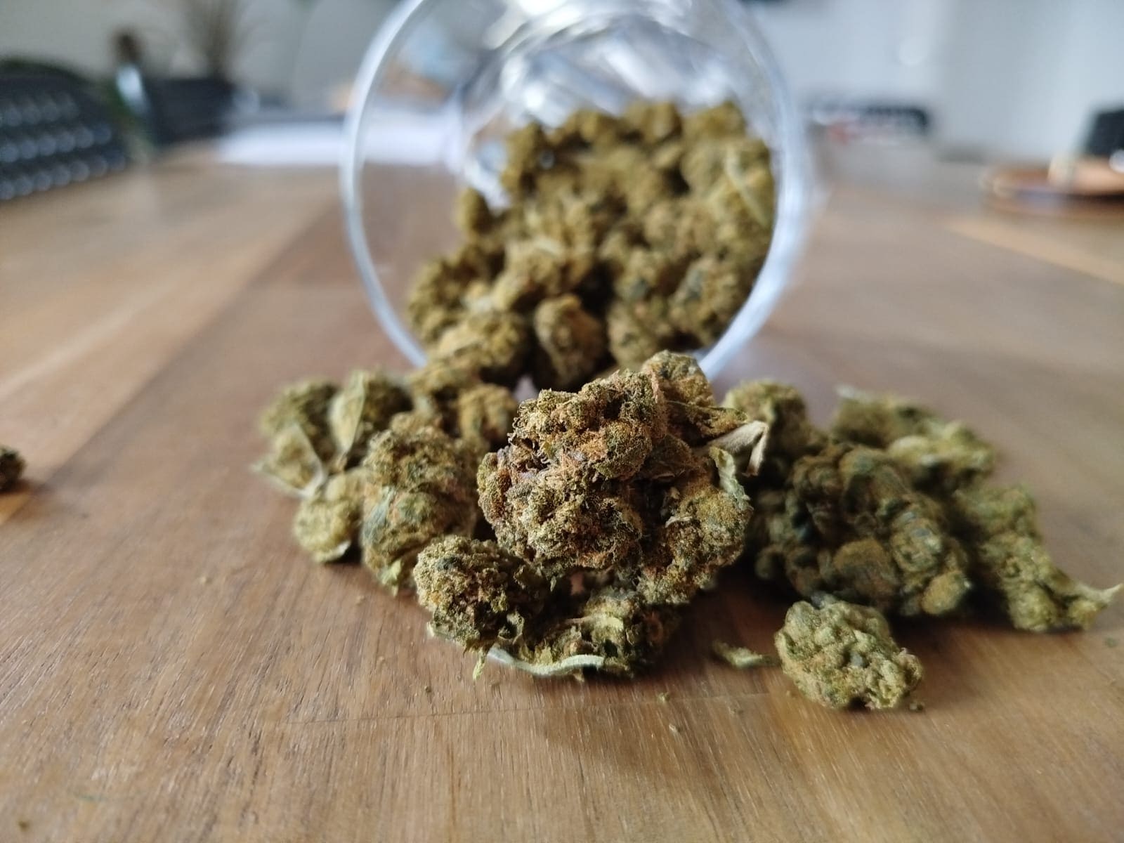 Cannabis online bestellt! #GameChanger - Erfahrungen mit CannaZen